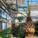 과학영농실증시험포 교육장 | 경남 의령 가볼만한곳 아열대식물원 아이랑 겨울여행