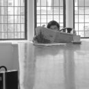 브라운카펫 이미지