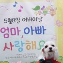 삼월 이미지