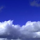 푸르른날 이미지