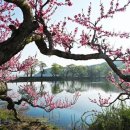 반곡지마을 이미지