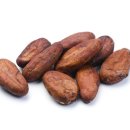 다이어트코리아 이미지