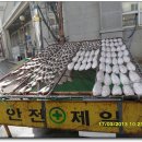 한결레포츠 Daum카페