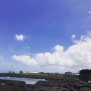 달다하우스 이미지