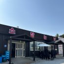 금강여관 | 울진 맛집 여행 필수코스 죽변항 육회비빔밥 맛집 :: 소 잡는날