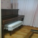 완월동118 이미지