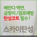 탄성코트(바이오세라믹) 언제 시공해야 할까요? 이미지