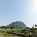 김앤김공인중개사사무소 이미지