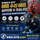 쿨웨이 벌레잡는총각들 | 벌레잡는 총각들 광주,전남 방역/ 광주광역시 북구 실제 바퀴벌레 가정집 방역 사례