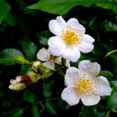 태전공원 이미지