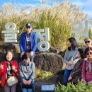 (주)신일투어관광 | 제주도관광버스투어 이동까지 편했던 단체여행 후기