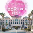 롯데호텔제주 초대 이벤트 당첨자 리얼 후기 '봄날愛 패키지' &amp; 'Bed and Breakfast 패키지'