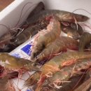 회령수산 이미지