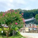 편백세상 이미지