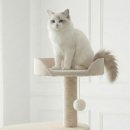 더프리미엄타워 이미지