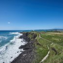 섭지코지 이미지