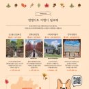 (주)여행이필요해 이미지