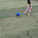 한국노블가스(주) | [내돈내산 후기 / 팁] 아이랑 가면 무조건 성공하는 글램핑장_ 노블글램핑 포천