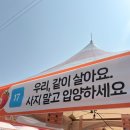 유명동물병원 | 2026 논산딸기축제 후기 :: 주차부터 먹거리, 반려견 부스까지 솔직리뷰