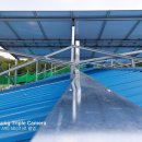 영남태양광발전소 이미지