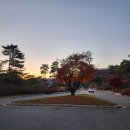 석실한우마을 | 강원도 명문, 세이지우드 홍천 11월 10일 라운드 후기