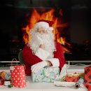 인디퍼피 이미지