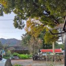 느티나무민박 이미지