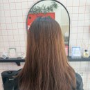 효성파마 | 효성동 미용실 더보보헤어 효성점 퍼스널컬러 염색 톤다운 후기