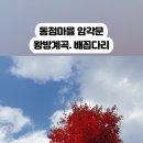 동점마을 암각문 이미지