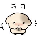 짱뽑기방 이미지