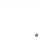 Re: 결실에 계절 국화향기 아기와 엄마는 왜 눈물짓는가?아가도 아름다운 열매인데 이미지
