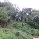 영풍두월리약사여래석불 | 경북 영주시 영풍 두월리 약사여래석불