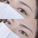 금강헤어라인