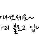 국수나무유성 이미지