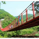 출렁다리 이미지