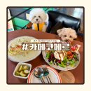 카페 코.코 | 충주 연수동 카페 코메르 | 애견동반 브런치 맛집 후기