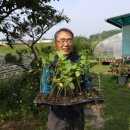 칠성면업사 이미지