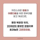 고은미의원