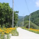 산수벨리펜션 이미지