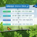 영준사 | 세부어학원 - MTM어학원 2012년 후기