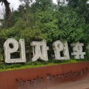 용인휴양림막국수 네이버블로그