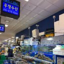 생생리얼수산시장 | [노량진] 내돈내산 노량진 수산시장 회 후기｜우정수산 리얼 방문기