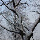 소용공원 이미지