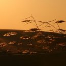 바람의말 이미지