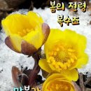 계주/계돈~~~~~~(돈) 이미지