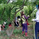 매화락 협동조합 이미지