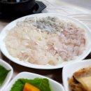 거제도 수산시장 고현시장 초장집 부경회초장 식당에서 완벽한 회 한상, 여름 휴가 마무리했어요