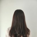 개포동 미용실 메이뉴헤어 꼼꼼한 반곱슬머리 매직 c컬펌