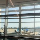 782 | 후쿠오카 대한항공 KE787 / KE782 탑승 후기