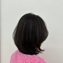 아이엘헤어 이미지